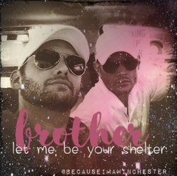 Brother, let me be your shelter