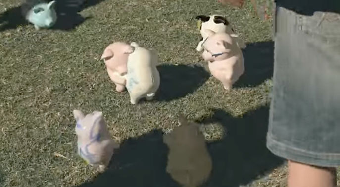 daffodils-movie-interview-mar-19-4_edite