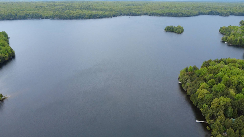 f9e2e617-20f3-4010-b3f5-68e835329632.jfif