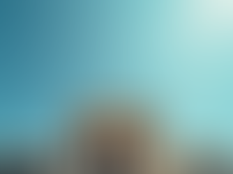 The Role of Government in Market Economics