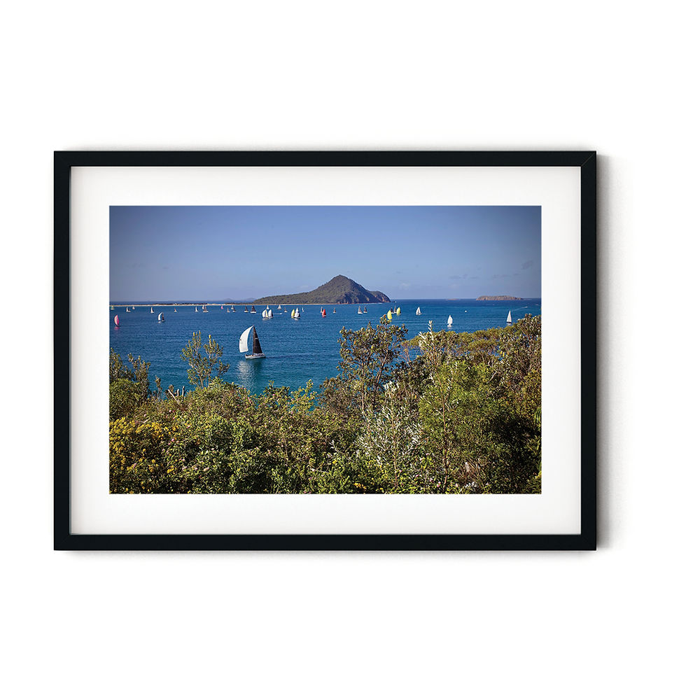 Thumbnail: Sails in the bay by Warwick Lawton
