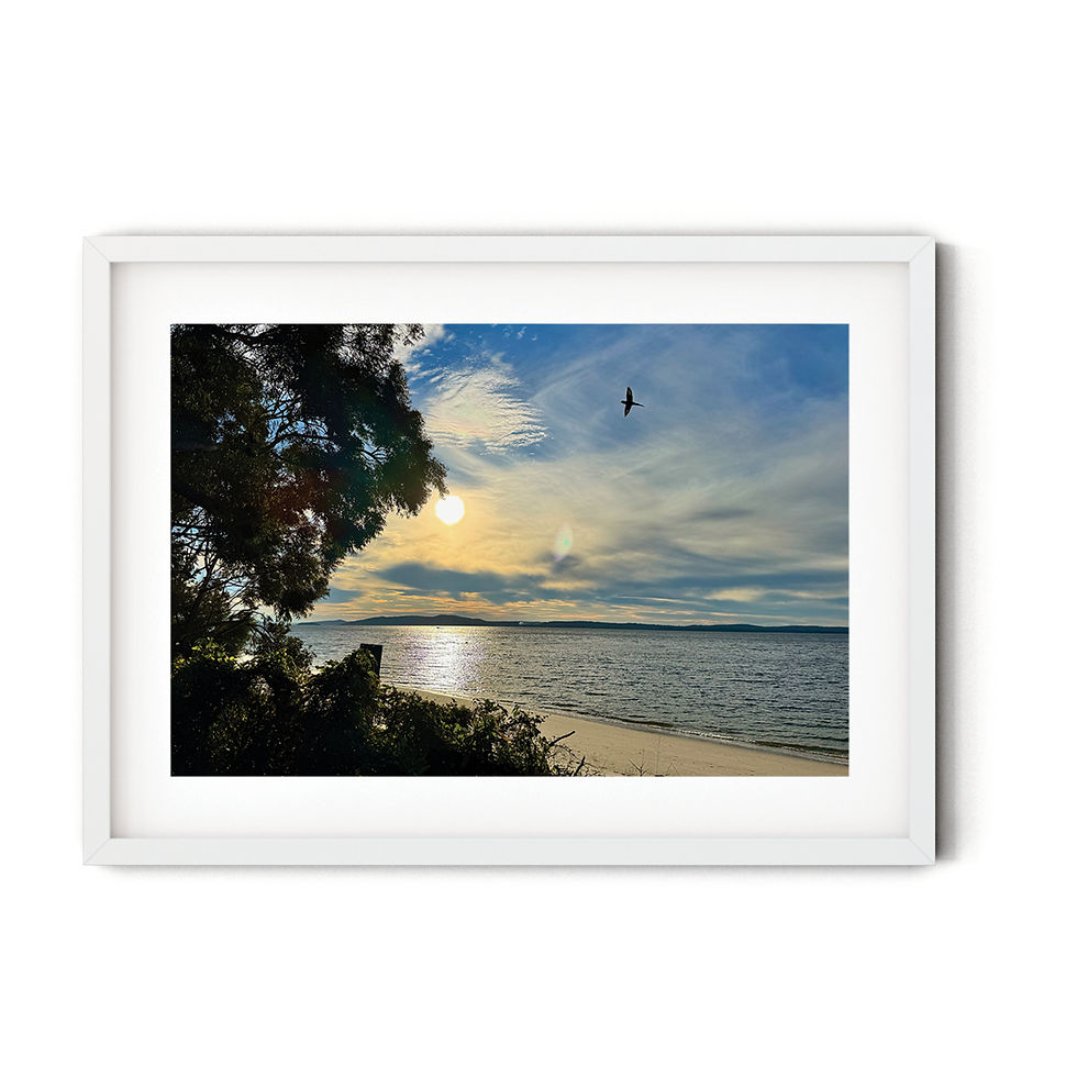 Thumbnail: Rainbow by Sharon Rhodes