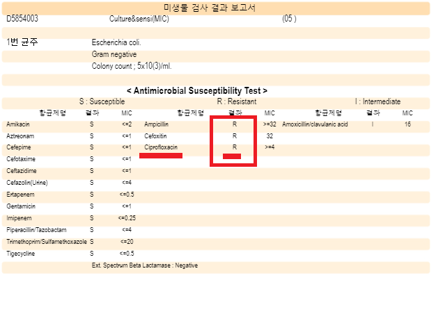 임상적 호전은 있었으나 소변배양에서 처방약 (ciprofloxacin) 에 내성확인된 신우신염 - 동대문구 답십리, 전농동, 우리안애 우리안愛 내과