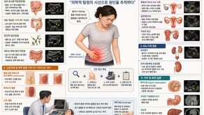 우하복부 통증이나 압통 사례들, 2014년부터 모든 환자의 요약 - 동대문구 답십리, 전농동, 우리안애 우리안愛 내과