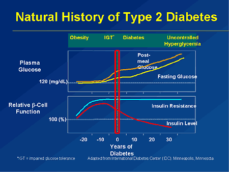 2형 당뇨의 자연경과; 초기 발병시 췌장 기능과 인슐린 내성