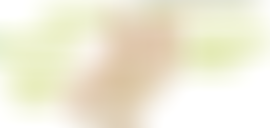 위소매절제술 후 식도역류 증상, 가슴쓰림으로 투약중 - 동대문구 답십리, 전농동, 우리안애 우리안愛 내과