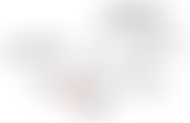 출처가 확인되는 개에 의한 교상, dog bite