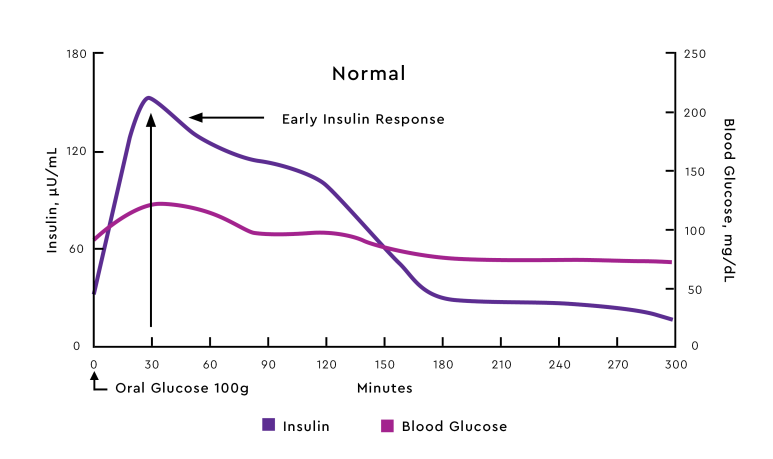 지속형 인슐린 투여 중이나 식후 혈당이 높은, 식후 혈당 반응이 떨어지는... 그리고, 현실회피?