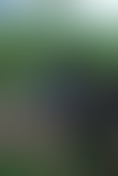 양평, 그래블 바이크와 함께한 바이크패킹, day 1, 용문산휴양림