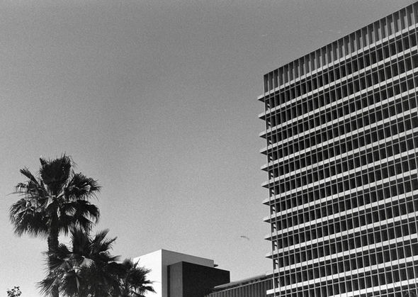 Los Angeles by Sam Mackey