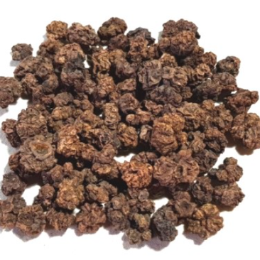 개다래 정? 1. 간수치 상승에 기여, 2. 중단하고 요산수치가 더 낮은... - 동대문구 답십리, 전농동, 우리안애 우리안愛 내과