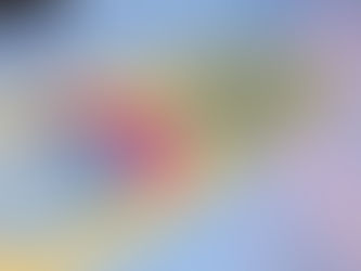 NOTTE BIANCA 2025 EXPRESSION OF INTEREST - CLOSED