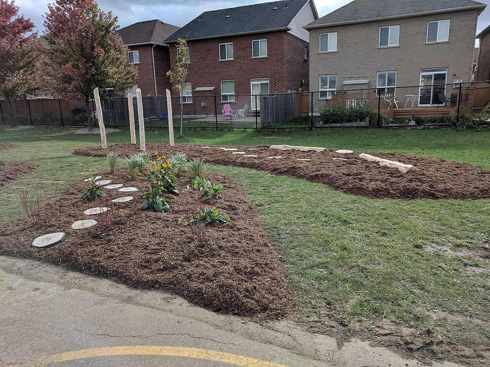 Natural Garden Area