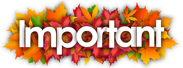 Important with leaves.jpeg