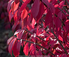 Split Mountain Garden Center (11).png