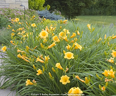 Split Mountain Garden Center (11).png