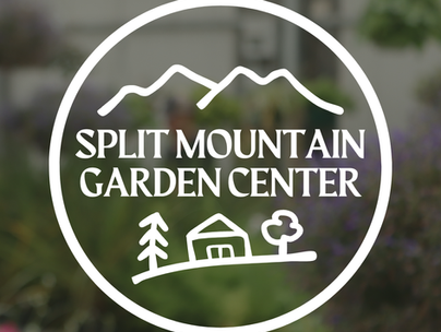 Welcome to The Garden Center Blog!