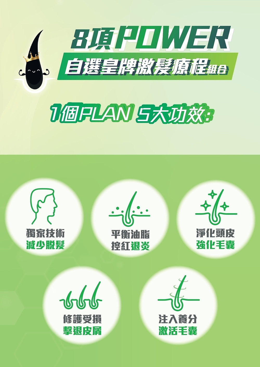 Hair Forest 髮森, Power自選皇牌激髮療程組合, 頭皮消炎, 頭皮消紅, 去頭皮, 去頭油