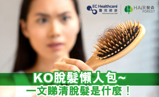 脫髮懶人包