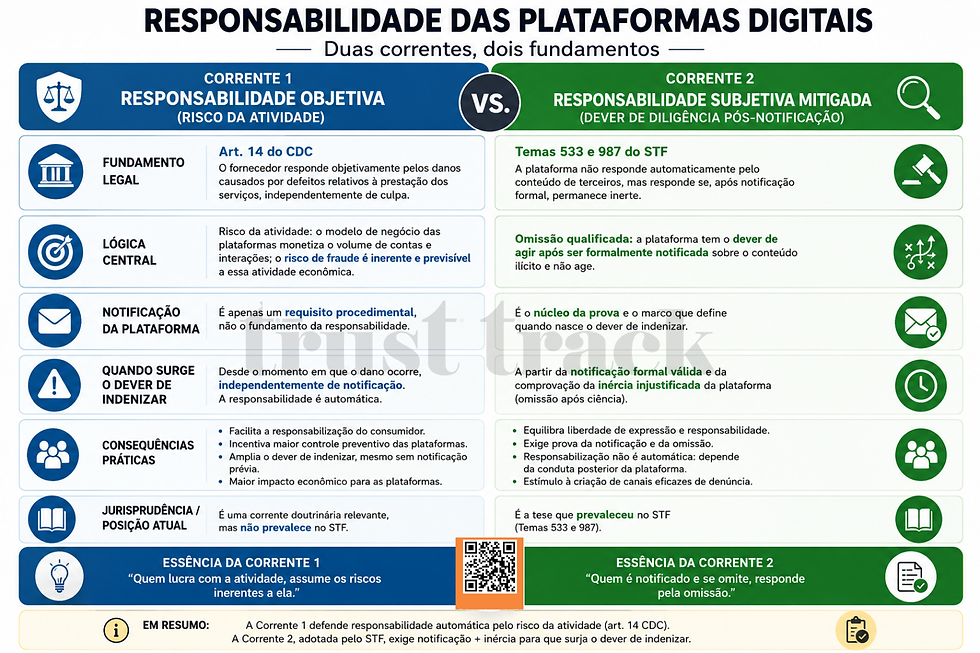 Infográfico em azul e verde sobre responsabilidade das plataformas digitais, comparando duas correntes jurídicas e textos explicativos - risco na atividade e dever diligência