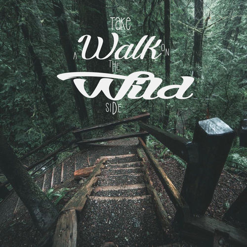 Font Pairing Project