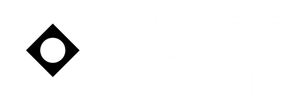 LOGO P&B.png