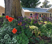 Tilted Hill Inn_Summer (3).JPG