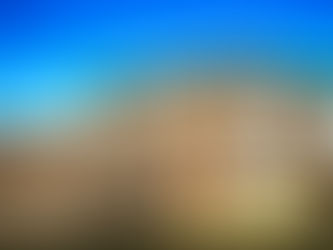 August 2021 Week 3 Property Market Update for NSW 2155: Kellyville, Beaumont Hills, Rouse Hill