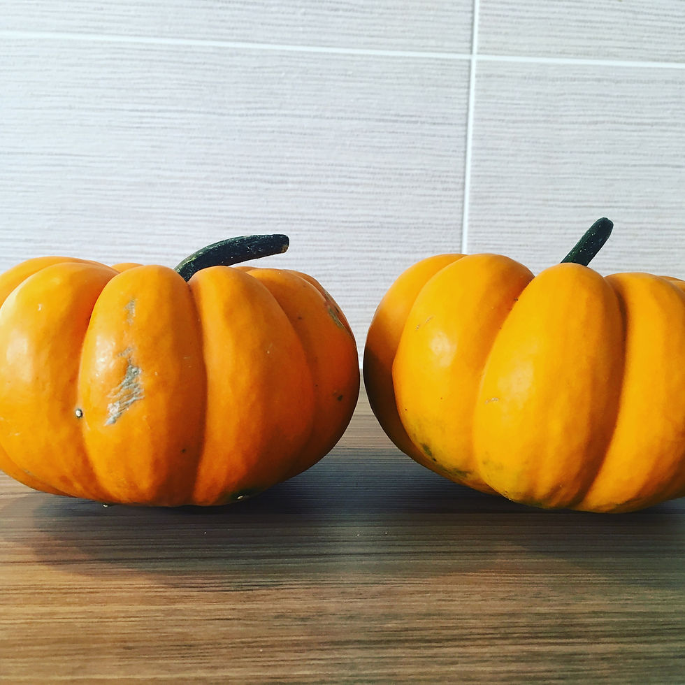 Brilliant Orangitia Recipes