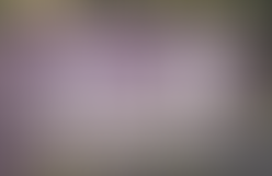 Dimanche 8 mars 2020.