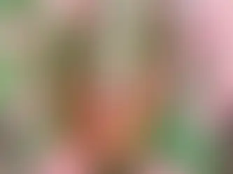 Unlock the Secret to Naturally Radiant Skin - Timeless Kumkumadi Face Oil in South Africa