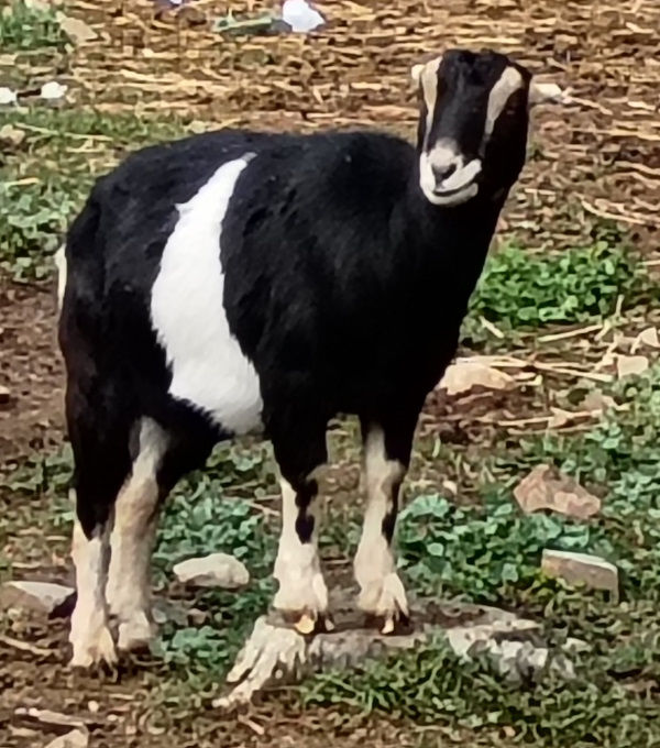 Up & Coming For 2026