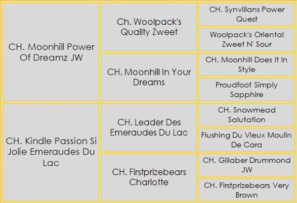 pedigree site ashley.jpg