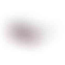 Wir machen Frühjahrsputz zum Würstchenmarkt - John Optik Inhaber Carola Büttner