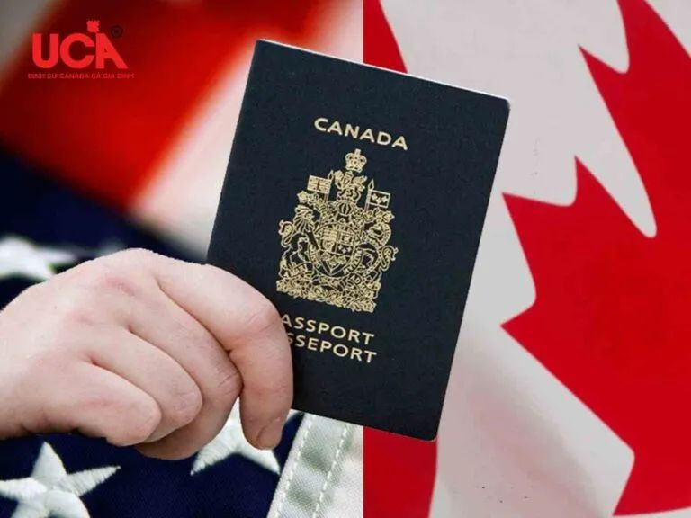 Định cư Canada diện doanh nhân - UCA Immigration