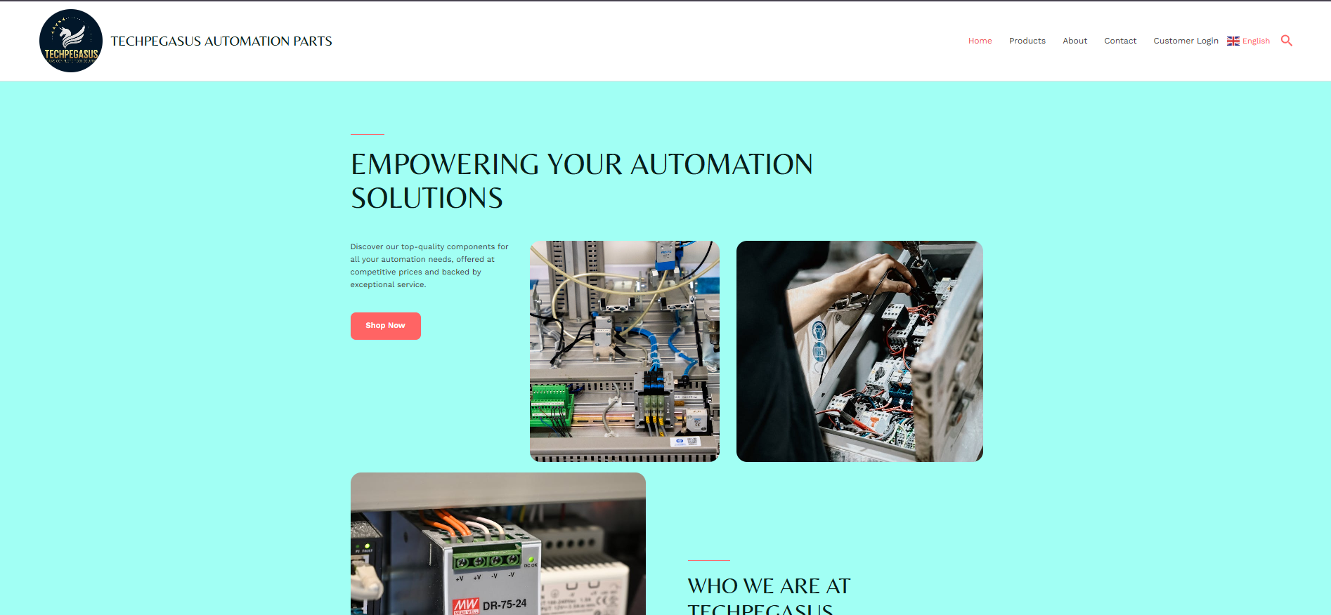 Web and Cloud Engineering