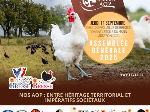 ENTRE HÉRITAGE TERRITORIAL ET IMPÉRATIFS SOCIÉTAUX