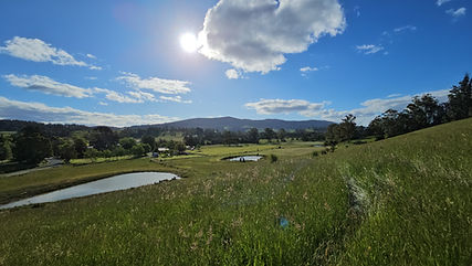 20251124_175519.jpg