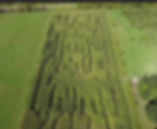 Corn Maze