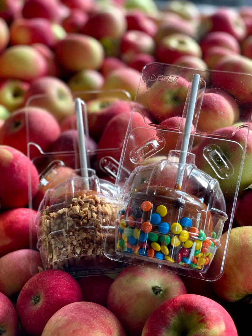 Caramel Apples