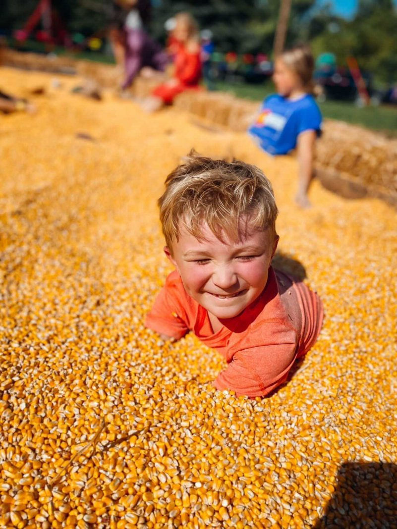 Otter Creek Orchard, Apple Orchard, St. Ansgar