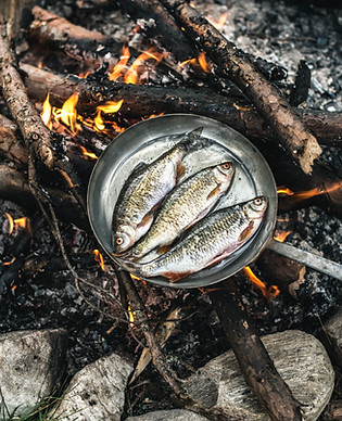 Cooking Fish Outdoors
