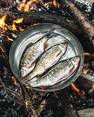 Cooking in Nature