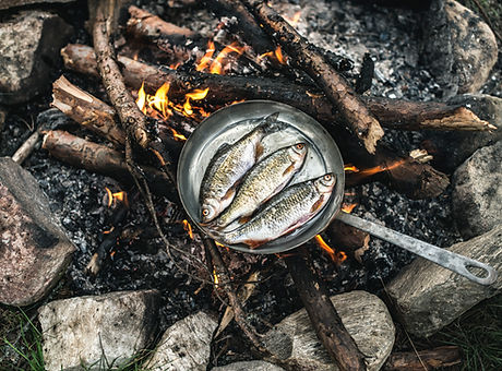 Koken in Nature