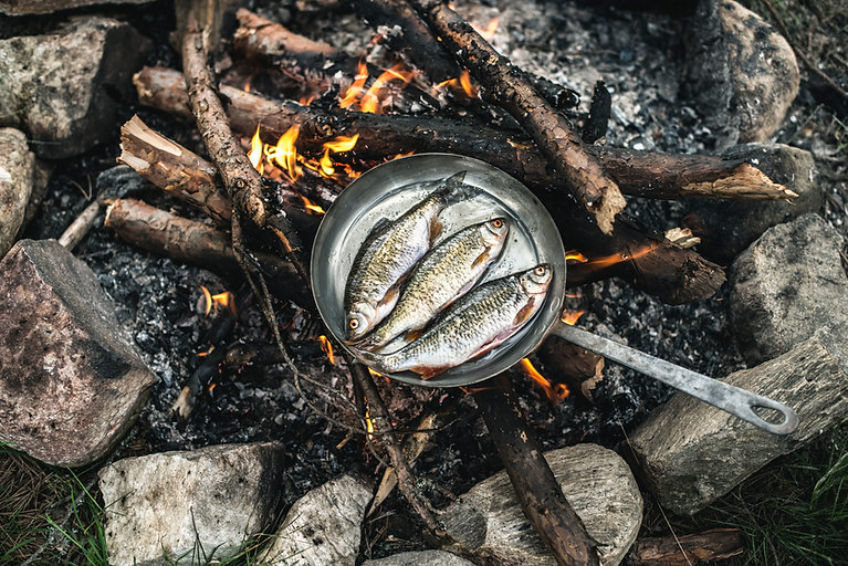Cooking in Nature