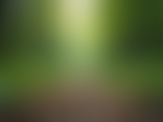 Unlocking Discipline: Essential Steps for Personal Growth