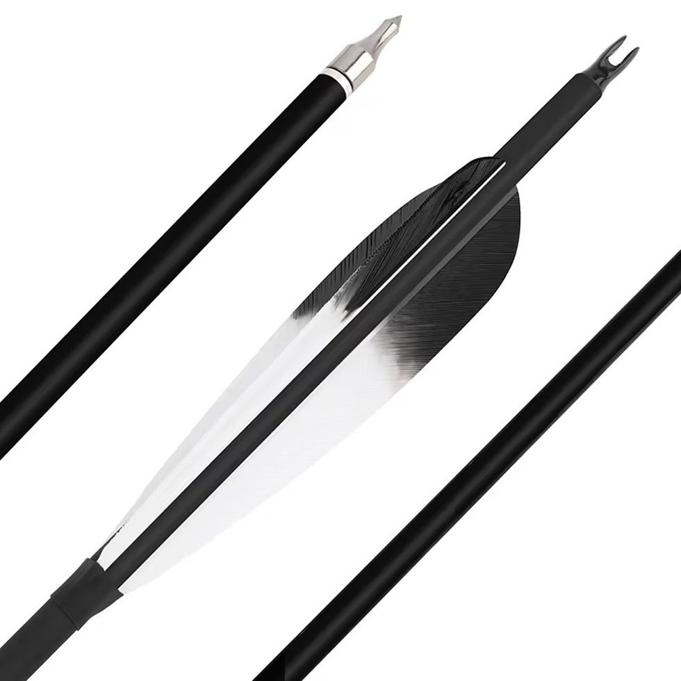 Thumbnail: 12-Pack 30 inch Arrows with Turkey Feathers