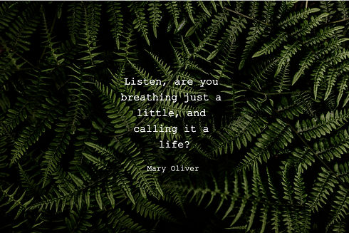 "Listen, are you breathing just a little, and calling it a life?" - Mary Oliver