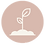 Seedling