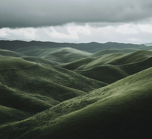 Rolling green hills with mountains in the distance